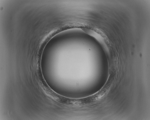 X0000062150395200512091320