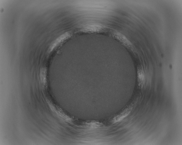 X0000062150396200512091320