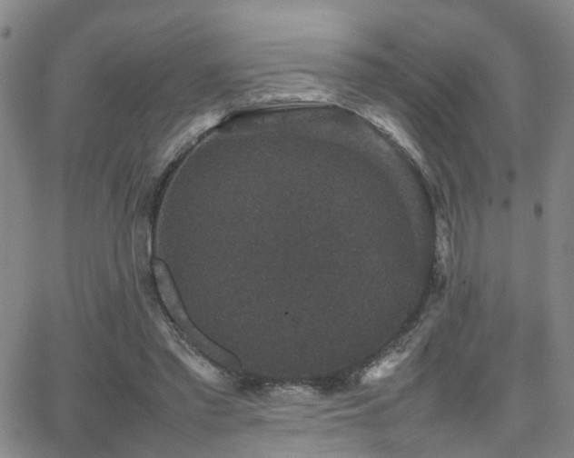 X0000062150397200512091320