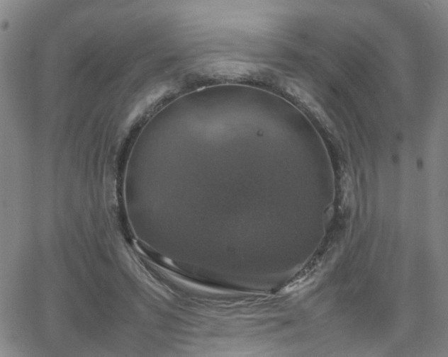 X0000062150399200512091320