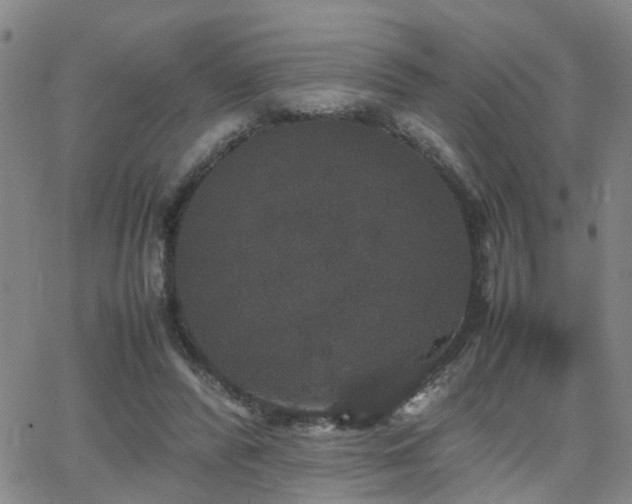 X0000062150400200512091320