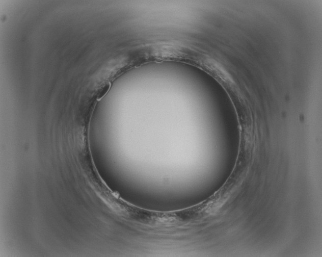 X0000062150401200512091320