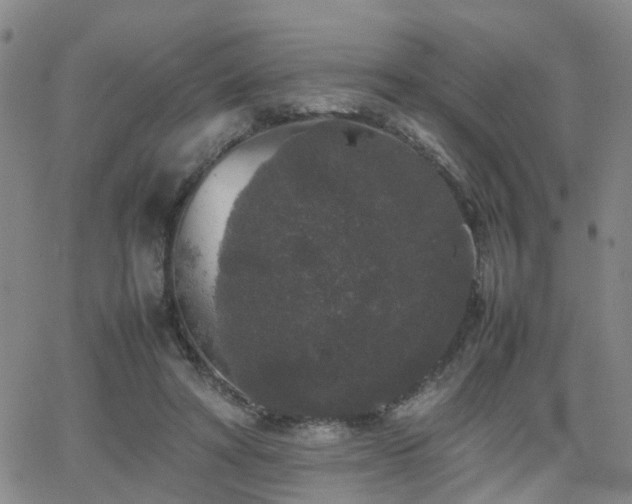 X0000062150402200512091320