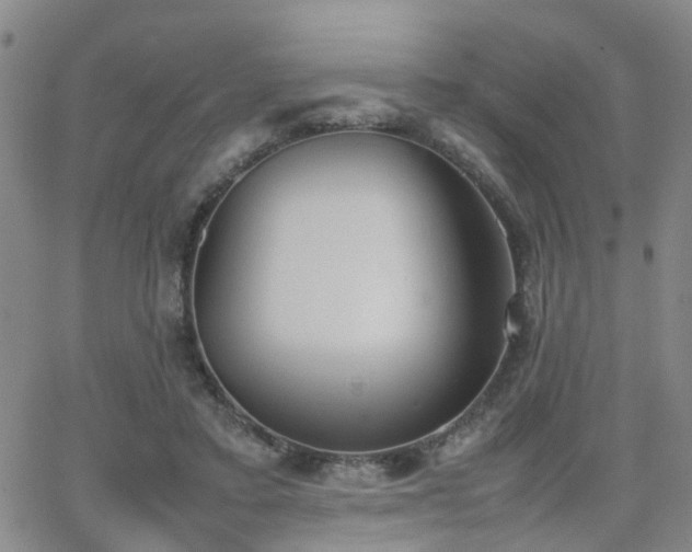 X0000062150403200512091320