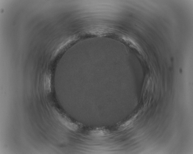 X0000062150404200512091320