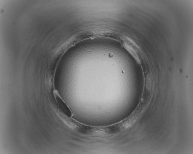 X0000062150405200512091320