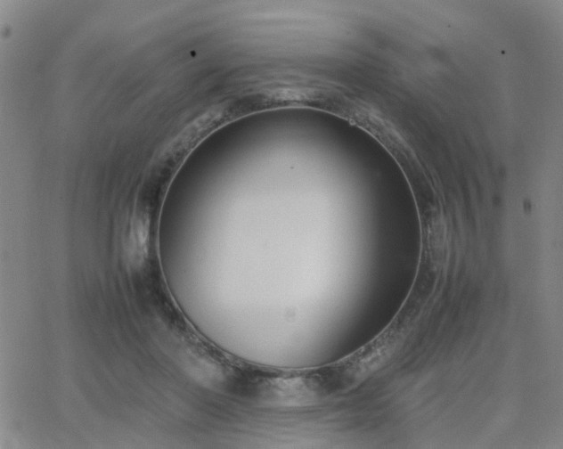 X0000062150406200512091319