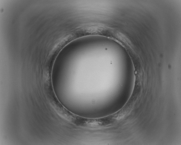 X0000062150407200512091319