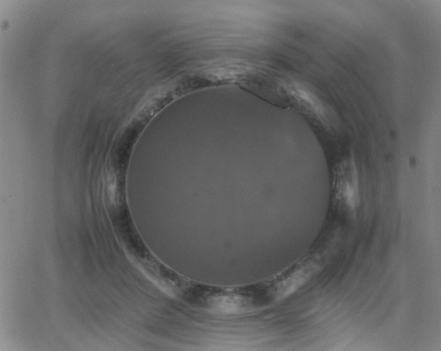 X0000062150408200512091319