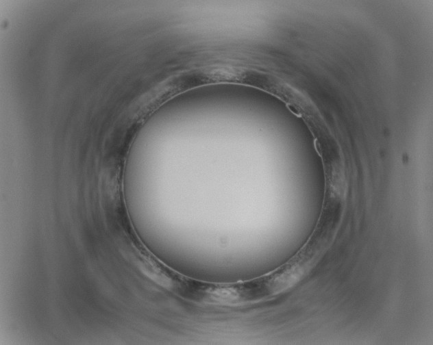 X0000062150409200512091319