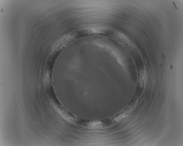 X0000062150410200512091319