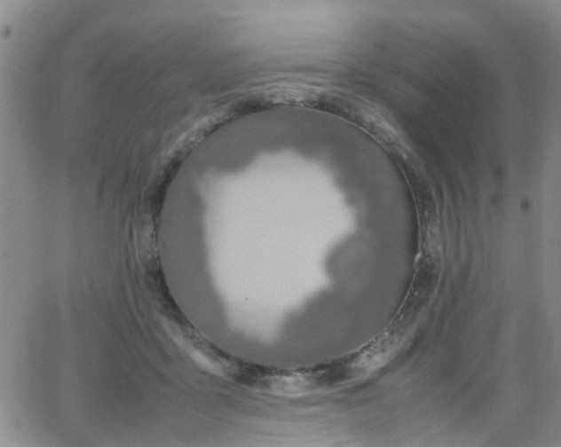 X0000062150411200512091319