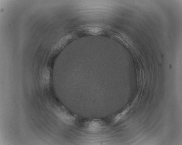 X0000062150412200512091319