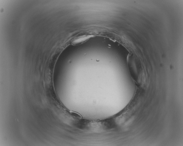 X0000062150413200512091319