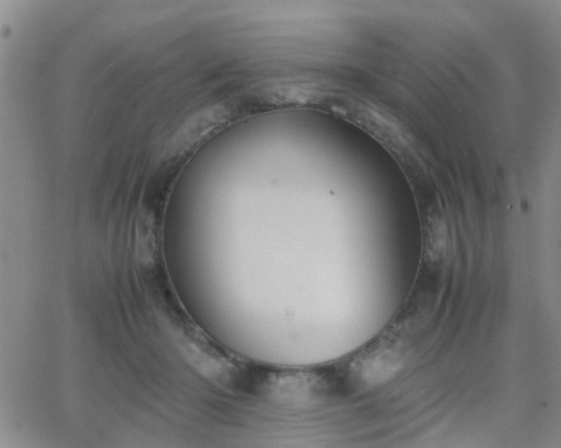 X0000062150414200512091319