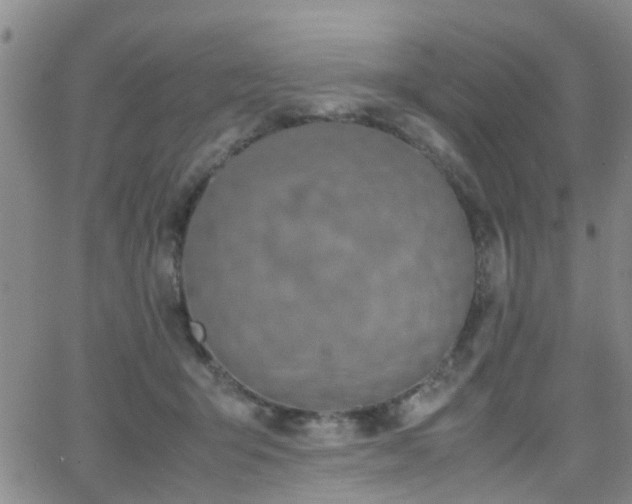 X0000062150415200512091319