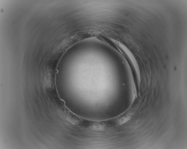 X0000062150416200512091319