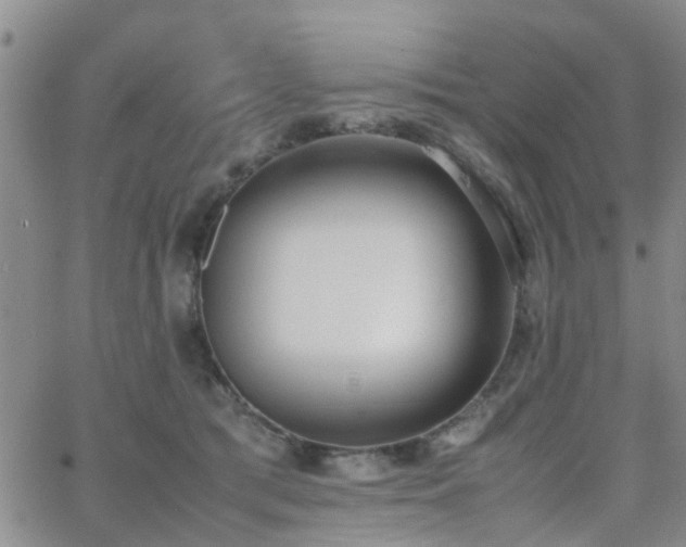 X0000062150417200512091319