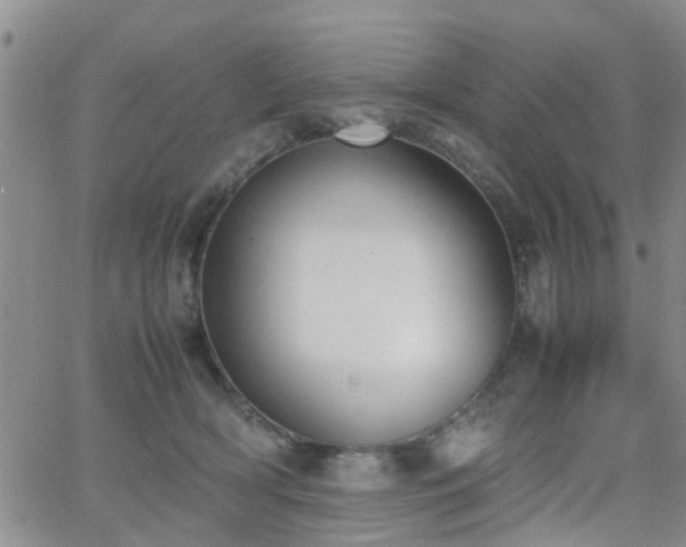 X0000062150418200512091319