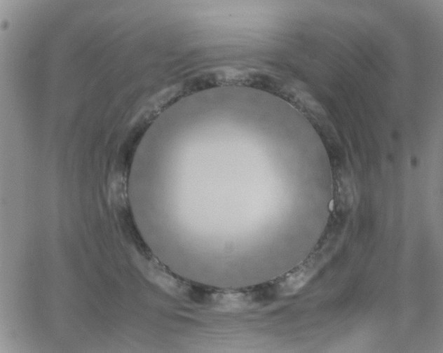 X0000062150419200512091319