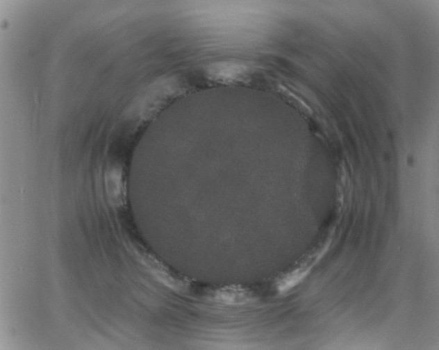 X0000062150420200512091319