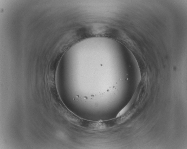 X0000062150421200512091319