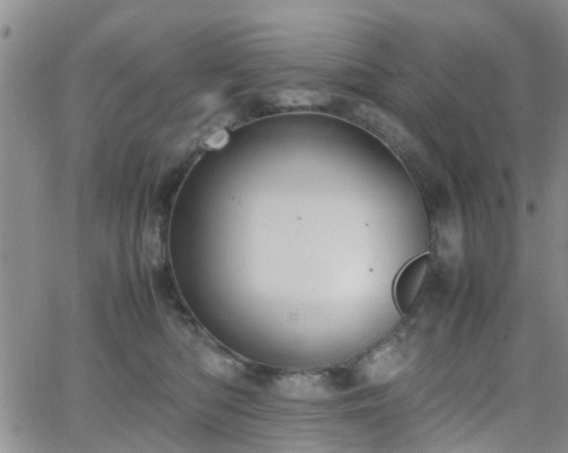 X0000062150422200512091319