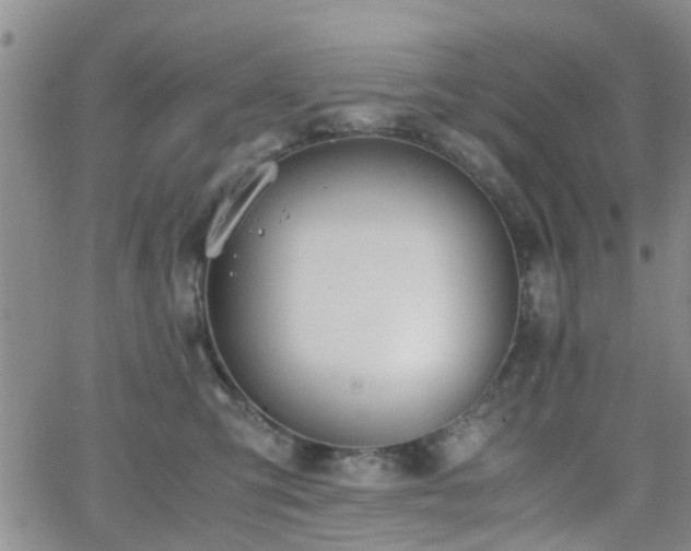 X0000062150423200512091319