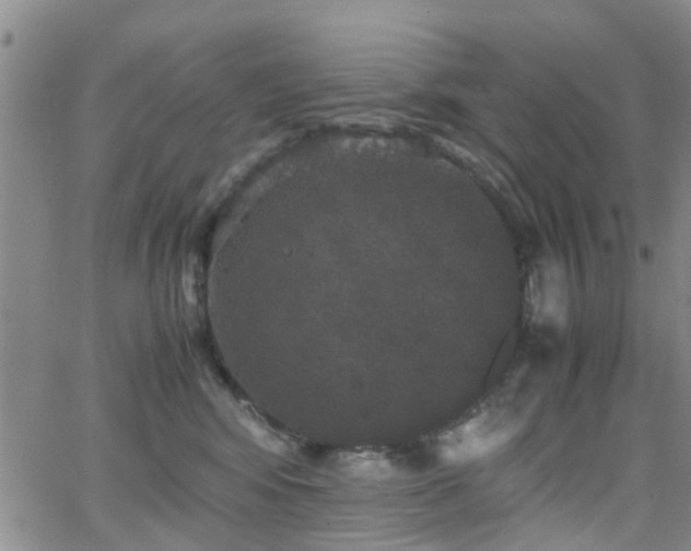 X0000062150424200512091319