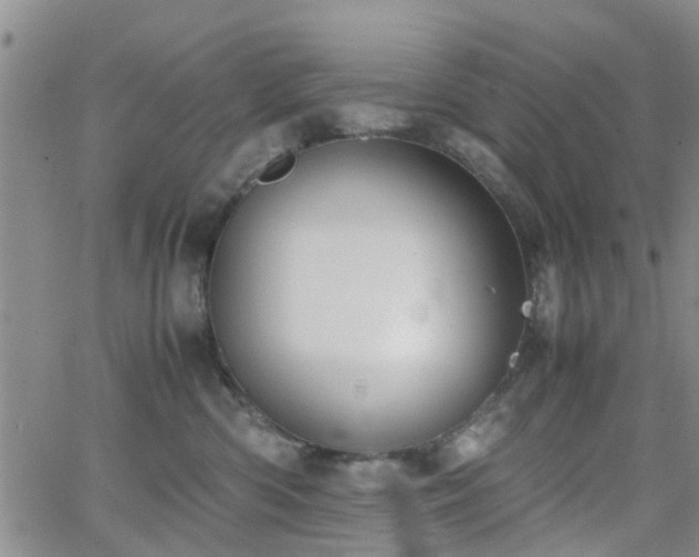 X0000062150426200512091319