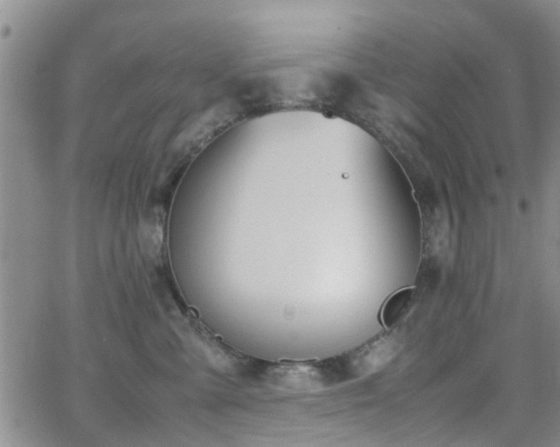 X0000062150427200512091319