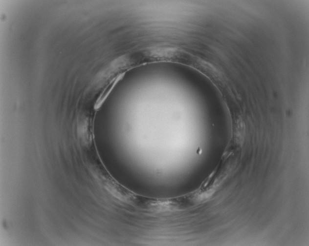 X0000062150428200512091319