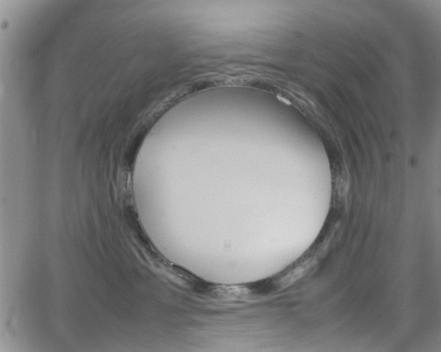 X0000062150429200512091319