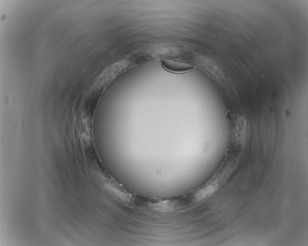 X0000062150430200512091319