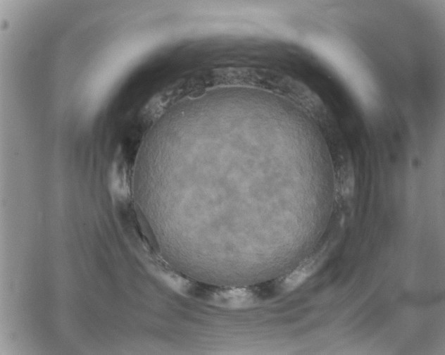 X0000062150431200512091319