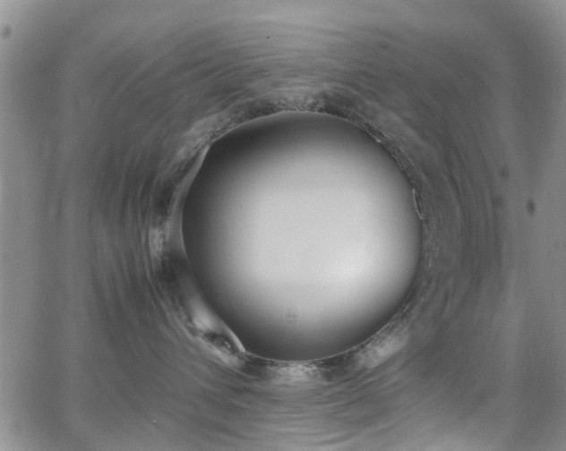 X0000062150432200512091319