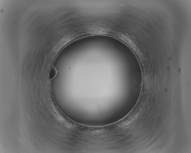 X0000062150433200512091318