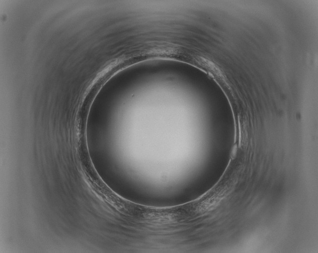 X0000062150435200512091318