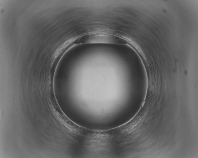 X0000062150437200512091318