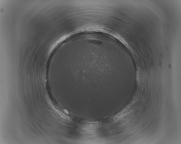 X0000062150438200512091318