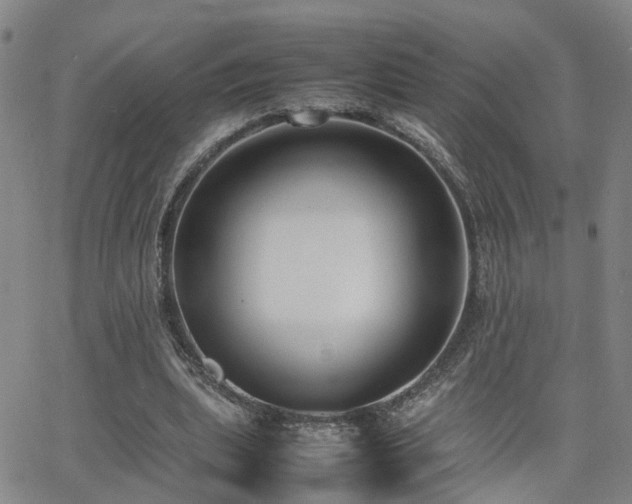 X0000062150439200512091318