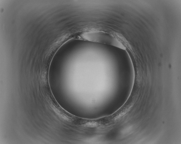 X0000062150441200512091318