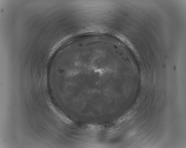 X0000062150442200512091318