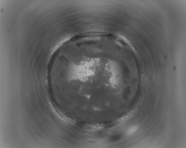 X0000062150443200512091318