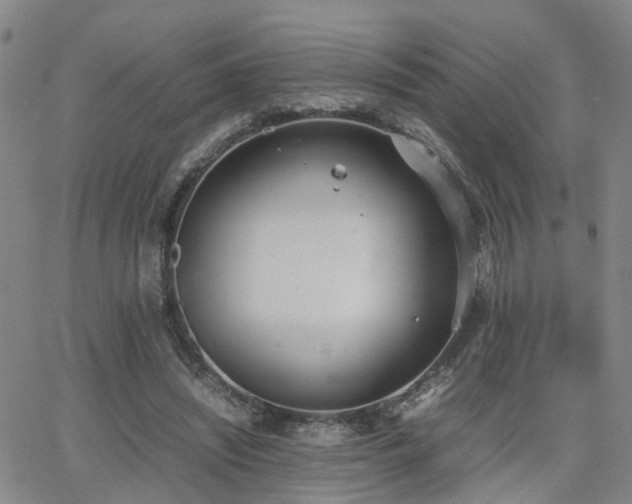 X0000062150444200512091318