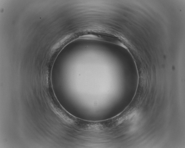 X0000062150446200512091318