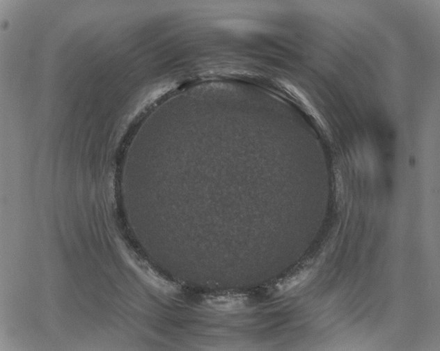 X0000062150447200512091319