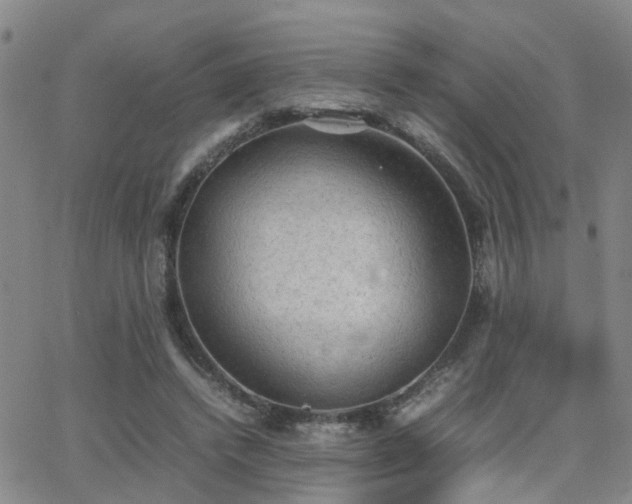 X0000062150448200512091319