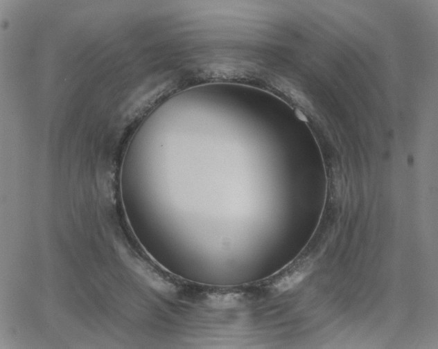 X0000062150450200512091319