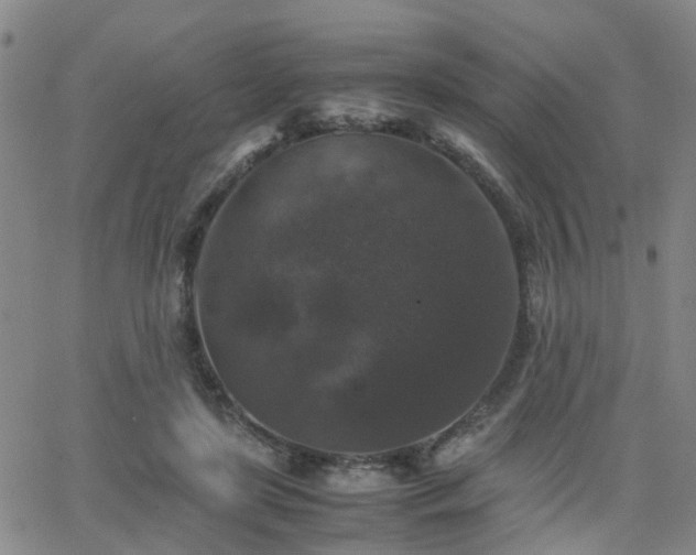 X0000062150451200512091319